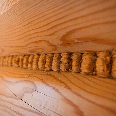 Apartamenty Dwupoziomowe Stasikowe Izby Bukowina Tatrzanska Ngoại thất bức ảnh